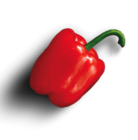 Bell Pepper
