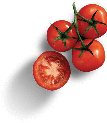 Tomato